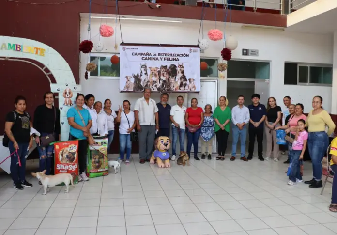 Gobierno de Apatzingán realiza 100 esterilizaciones en jornada de bienestar animal