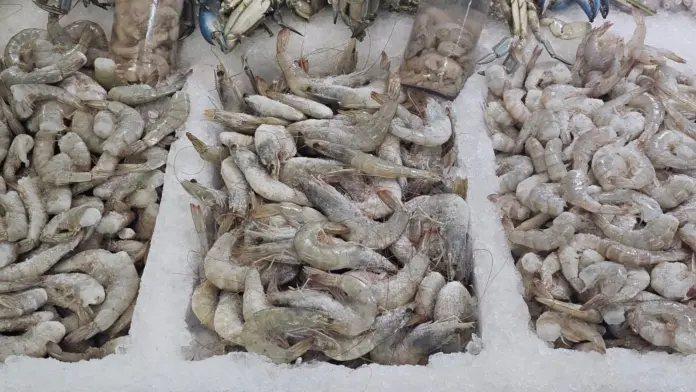 Arranca operativo de Cuaresma para garantizar calidad en mariscos