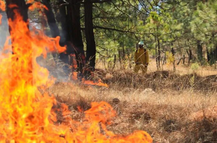 Voluntarios, PC y un helicóptero combaten incendio forestal en Nuevo Urecho