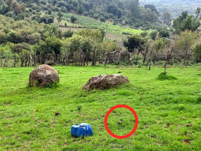 Aseguran y destruyen artefacto explosivo en Tangamandapio