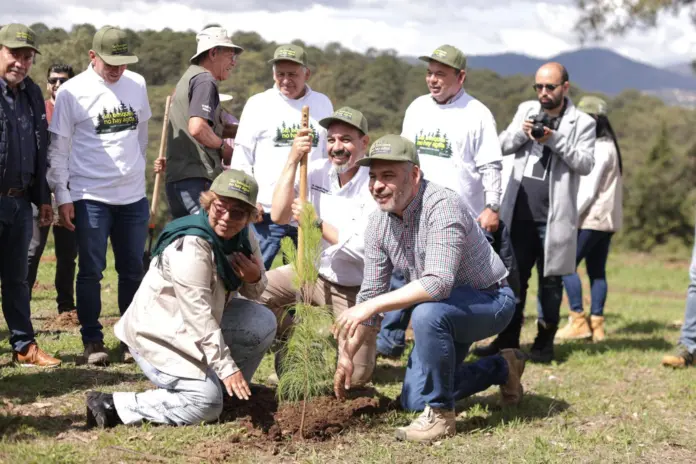 Anuncia Bedolla reforestación de 17 mil hectáreas con 10.5 millones de árboles