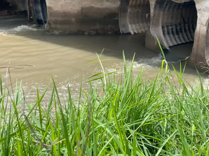 Comerciantes y vecinos de Siervo de la Nación piden apoyo por fuertes lluvias